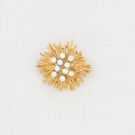 Diamond Sea Urchin Brooch - McTeigue Since 1895